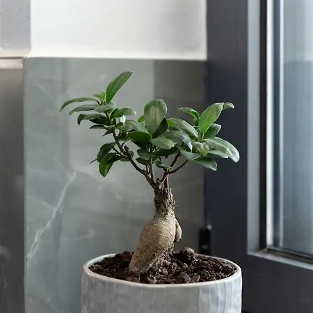 Сasa de vacaciones Peggy's House By 8essentially