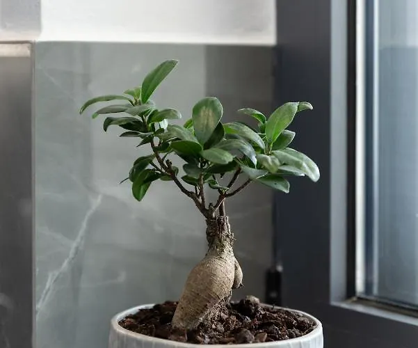 Dom wakacyjny Peggy's House By 8essentially